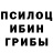 Галлюциногенные грибы Psilocybine cubensis Lumu Darlinggladov
