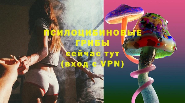 таблы Алзамай