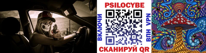 Псилоцибиновые грибы Psilocybine cubensis  Юрьев-Польский 